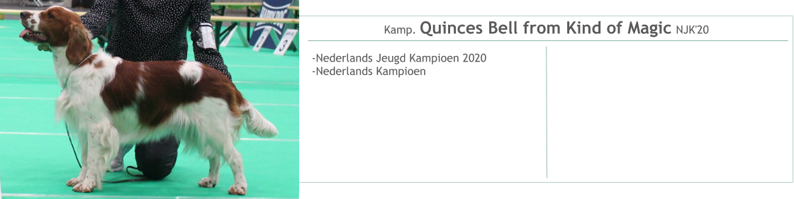 Kamp. Quinces Bell from Kind of Magic NJK'20 -Nederlands Jeugd Kampioen 2020-Nederlands Kampioen