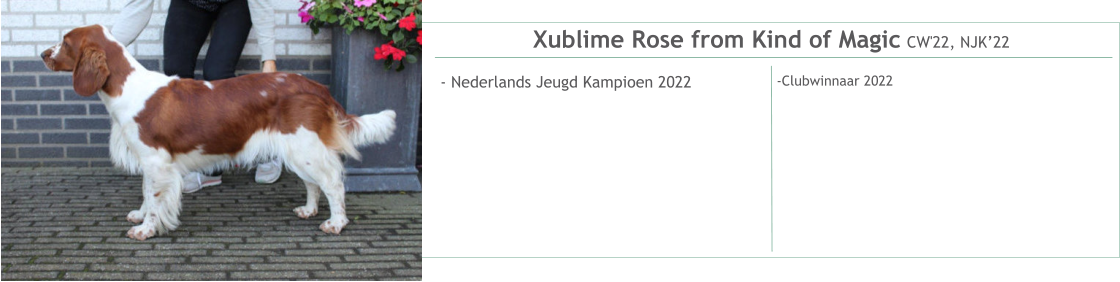 Xublime Rose from Kind of Magic CW'22, NJK’22 - Nederlands Jeugd Kampioen 2022    -Clubwinnaar 2022