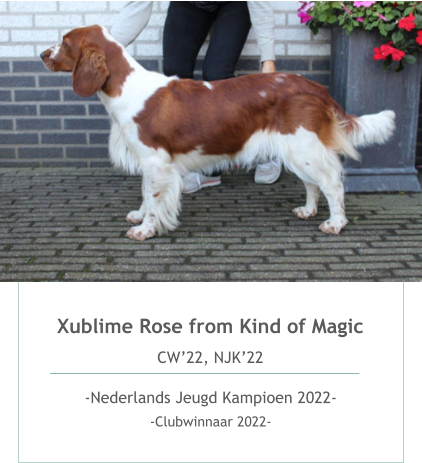 Xublime Rose from Kind of Magic CW’22, NJK’22  -Nederlands Jeugd Kampioen 2022- -Clubwinnaar 2022-