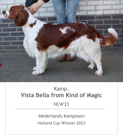 Kamp.Vista Bella from Kind of Magic HCW'23  -Nederlands Kampioen- -Holland Cup Winster 2023- 