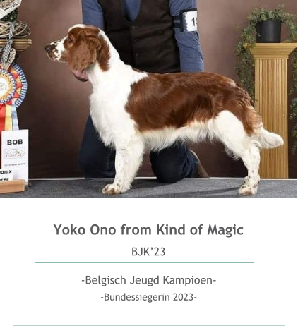 Yoko Ono from Kind of Magic BJK’23  -Belgisch Jeugd Kampioen-  -Bundessiegerin 2023- 