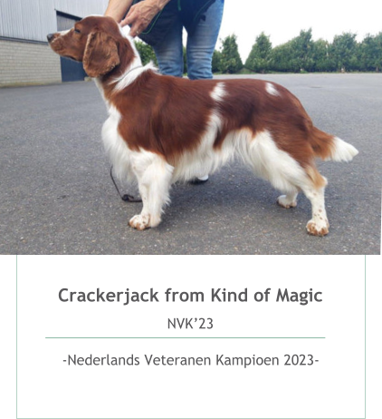 Crackerjack from Kind of Magic NVK’23  -Nederlands Veteranen Kampioen 2023-  