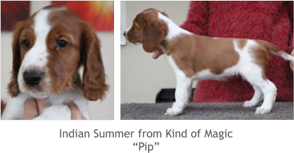 Indian Summer from Kind of Magic “Pip”
