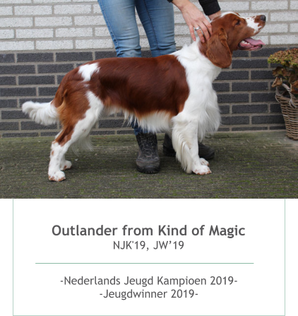 Outlander from Kind of Magic NJK'19, JW’19 -Nederlands Jeugd Kampioen 2019--Jeugdwinner 2019-