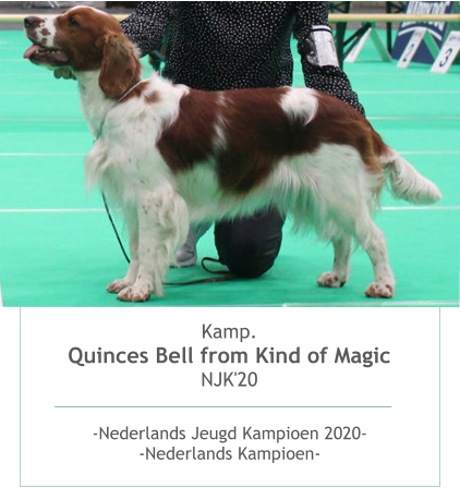 Kamp.Quinces Bell from Kind of Magic NJK'20 -Nederlands Jeugd Kampioen 2020--Nederlands Kampioen-