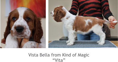 Vista Bella from Kind of Magic “Vita”