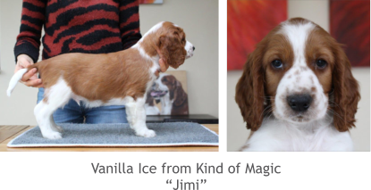 Vanilla Ice from Kind of Magic “Jimi”