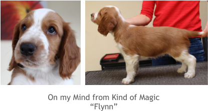 On my Mind from Kind of Magic “Flynn”