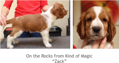 On the Rocks from Kind of Magic “Zack”