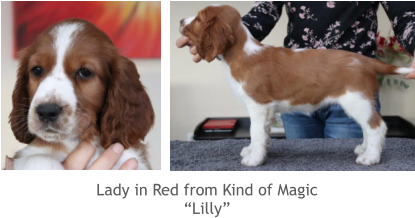 Lady in Red from Kind of Magic “Lilly”