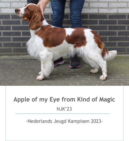 Apple of my Eye from Kind of Magic NJK’23  -Nederlands Jeugd Kampioen 2023-  